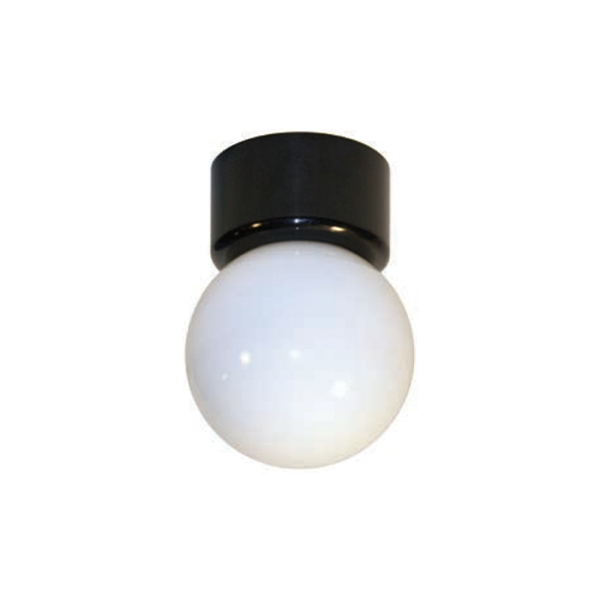 CWG Series Ceiling Fitter Globe Fixtures